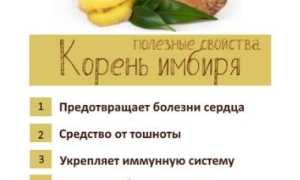 Имбирная настойка: лечебные свойства
