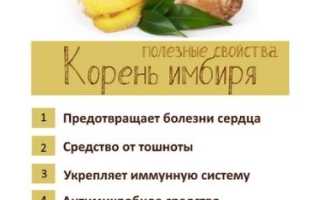Имбирная настойка: лечебные свойства