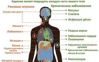 Пагубное влияние курения на человека и его организм