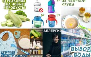 Формирование режима: питание ребенка в месяцев 7