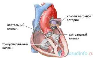 Регургитация 1 степени митрального клапана