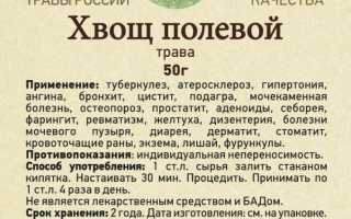 Полезные лечебные свойства хвоща полевого