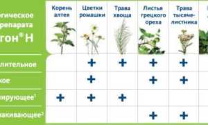 Состав и действие препарата
