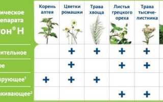 Состав и действие препарата