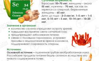 Польза селена для работы организма: источник селена
