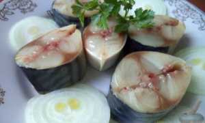 Лучшие способы засолки скумбрии в домашних условиях