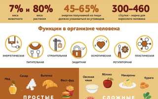 Характеристика и значение: продукты, богатые углеводами