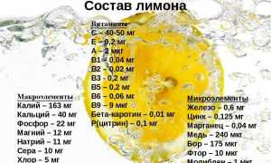 Химический состав и калорийность сока лимона