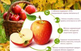 Всё о пользе и калорийности яблока: раскрываем свойства фрукта