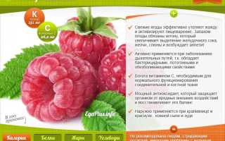 Противопоказания малины