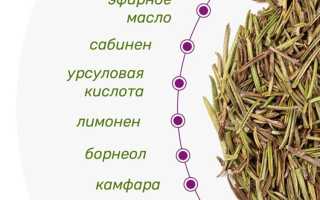 Розмарин: лечебные и полезные свойства