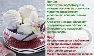 Состав и калорийность зефира
