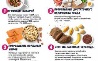 питание для набора мышечной массы