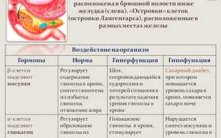 Симптомы и признаки заболеваний поджелудочной железы кратко