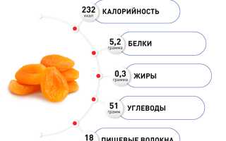 Польза и вред кураги для организма