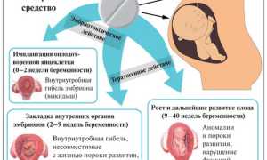 Подробнее об этом веществе: беременность