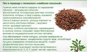 Свойства льняного семени: семена льна в косметологии