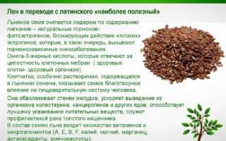 Свойства льняного семени: семена льна в косметологии