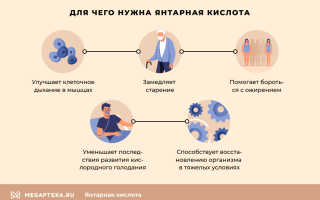 Польза и вред янтарной кислоты для организма человека
