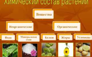 Состав растения