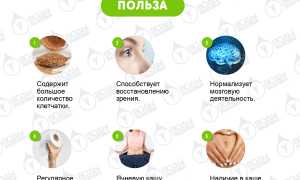 Польза ячневой каши