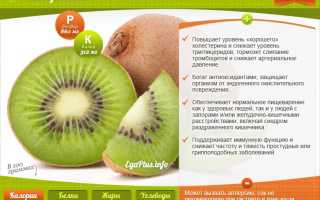 Киви в рационе: полезные свойства продукта и противопоказания