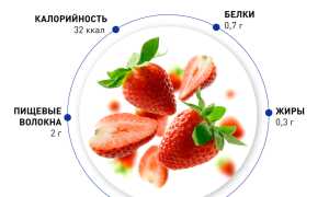 В чем польза сладкой ягоды клубники для организма человека?
