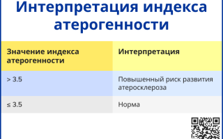 Коэффициент атерогенности — что это такое?