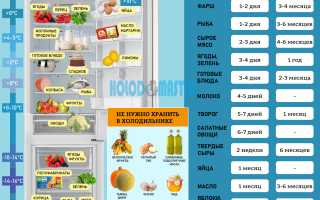 Что хранят в холодильнике