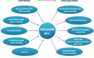 Главные принципы снижения веса