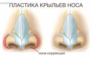 Как устроен наш нос: девушка взяла парня за нос