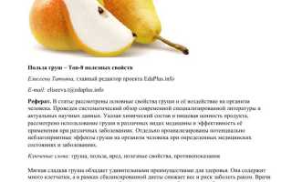 О пользе груши в рационе человека