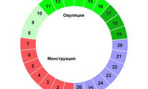Причины, почему не получается забеременеть